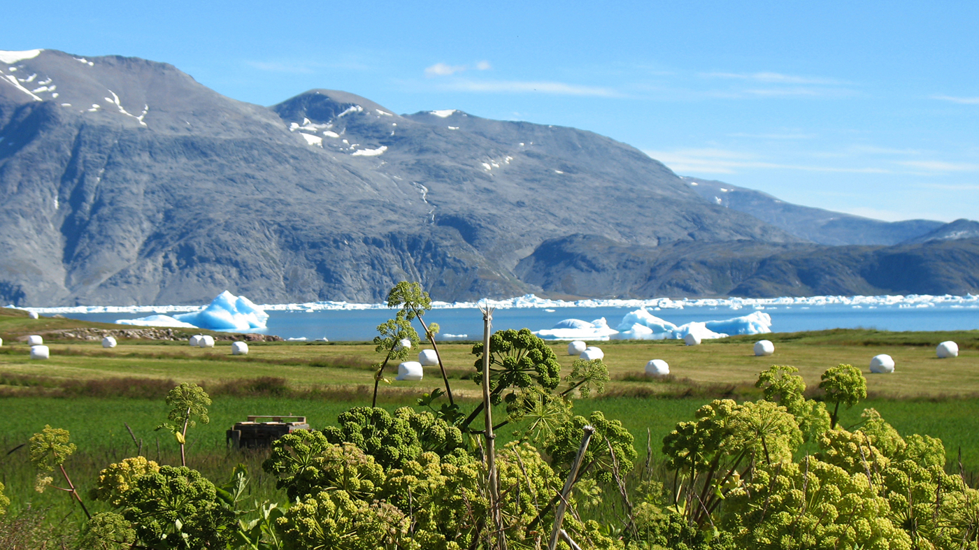 Grønlandsk natur med isbjerge og fjelde i baggrunden.
