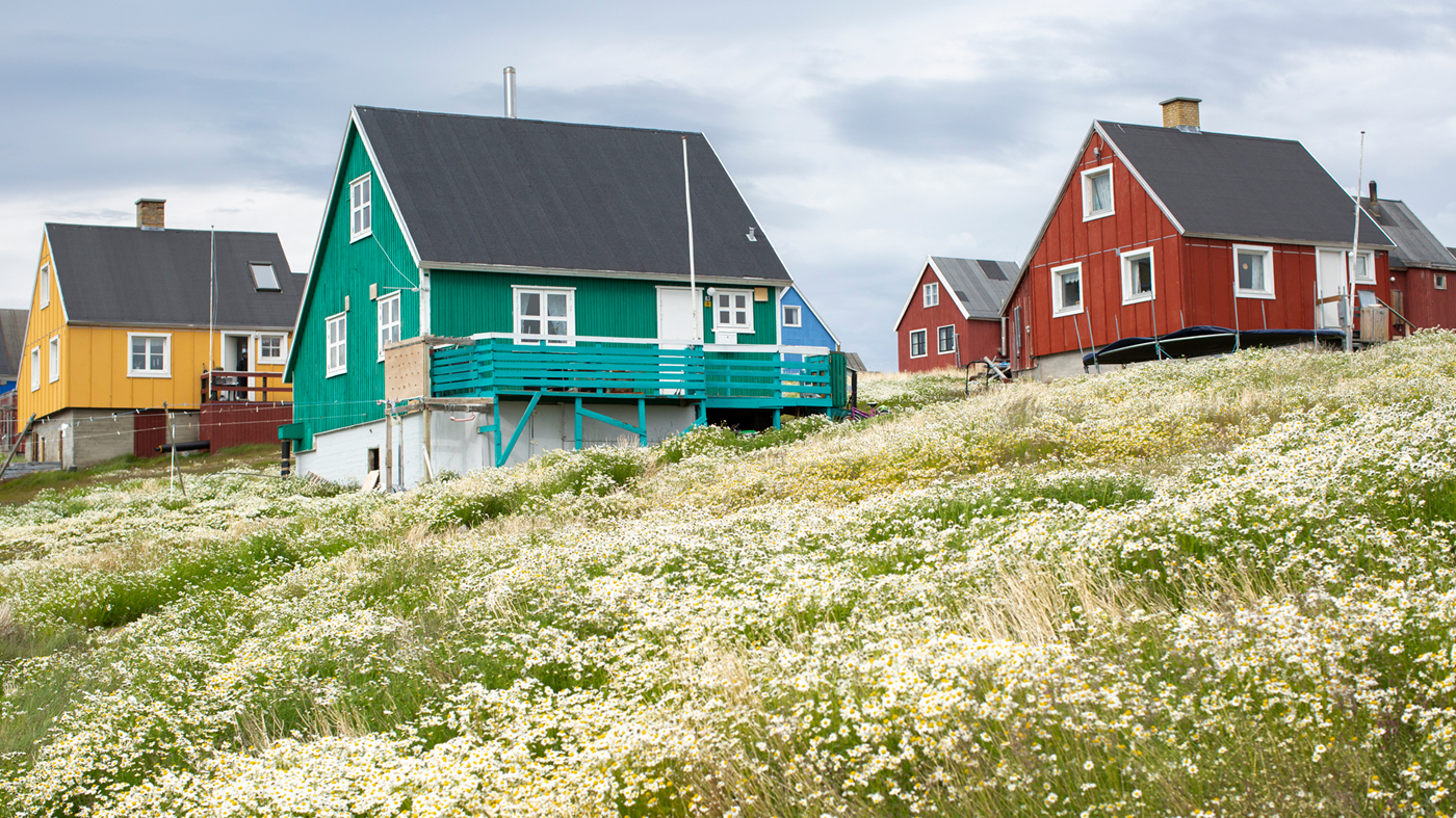 Grønlandske huse i forskellige farver.