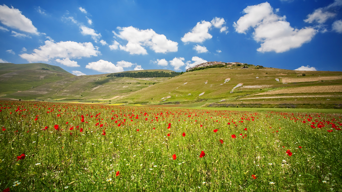 Grøn dal med blomster i Italien.