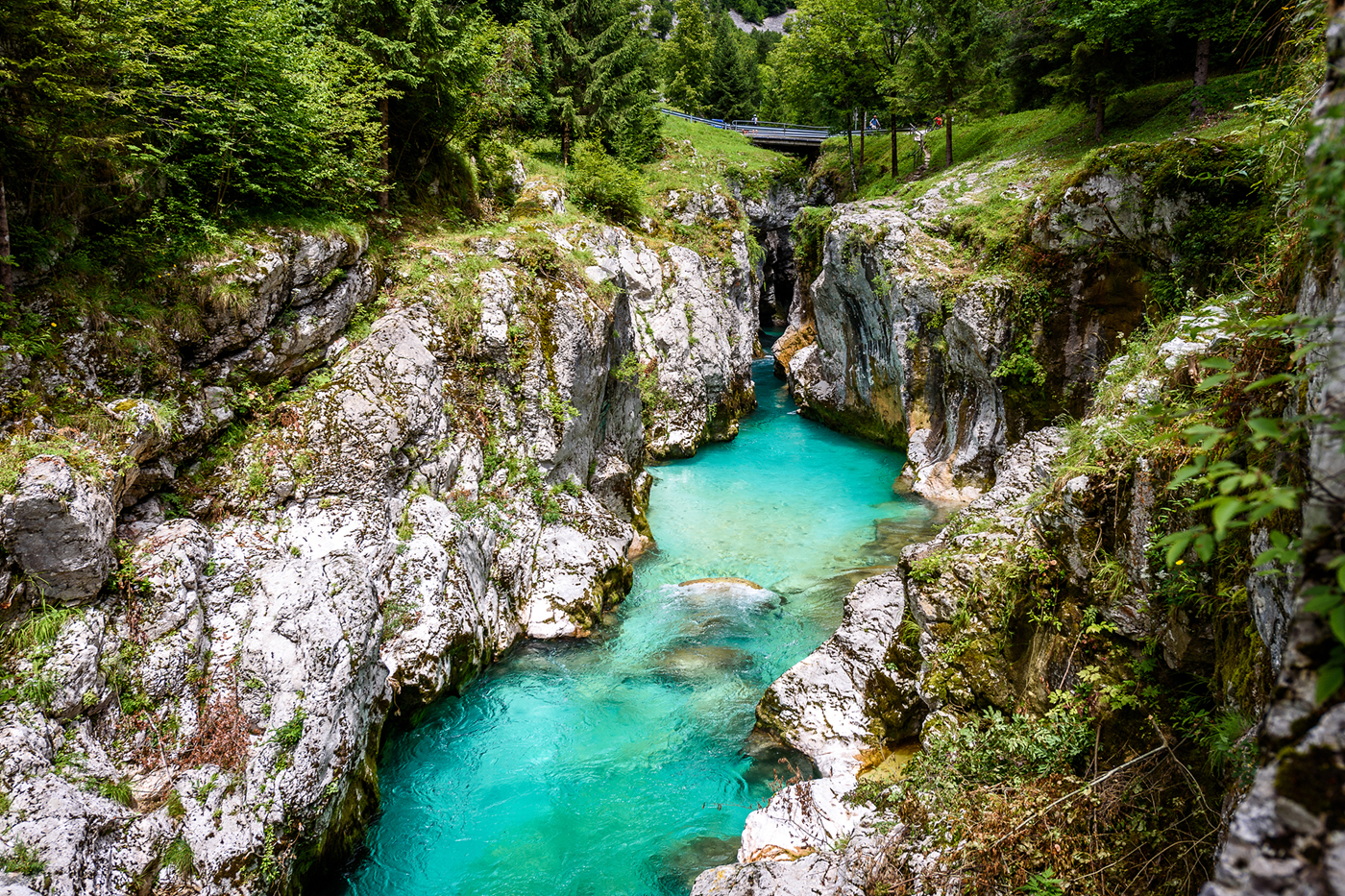 turen går til slovenien turen går til slovenien