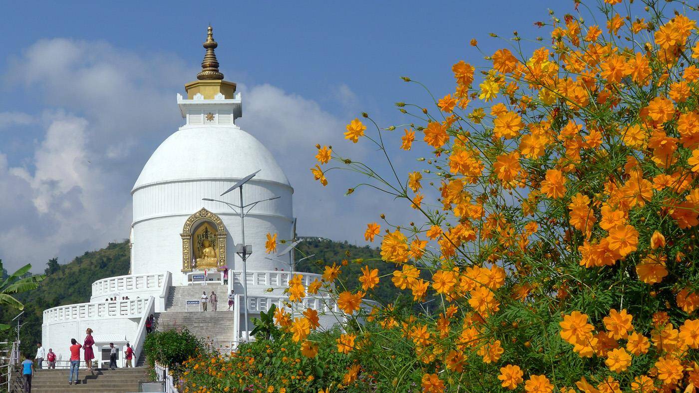 World Peace-pagodaen med hvide overflader og guldbelagt udsmykning. I forgrunden er en busk med orange blomster. 
