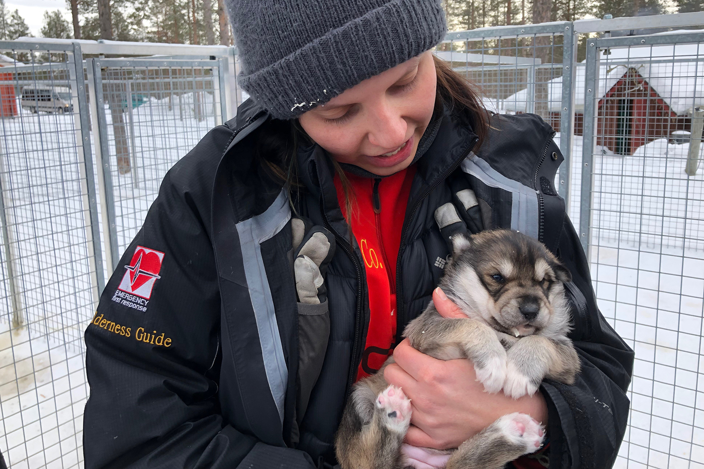 Rejser Finland Langrend og vintereventyr Lapland