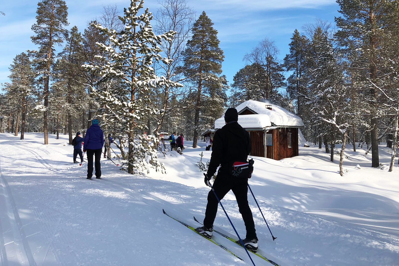 Rejser til - Langrend og i Lapland