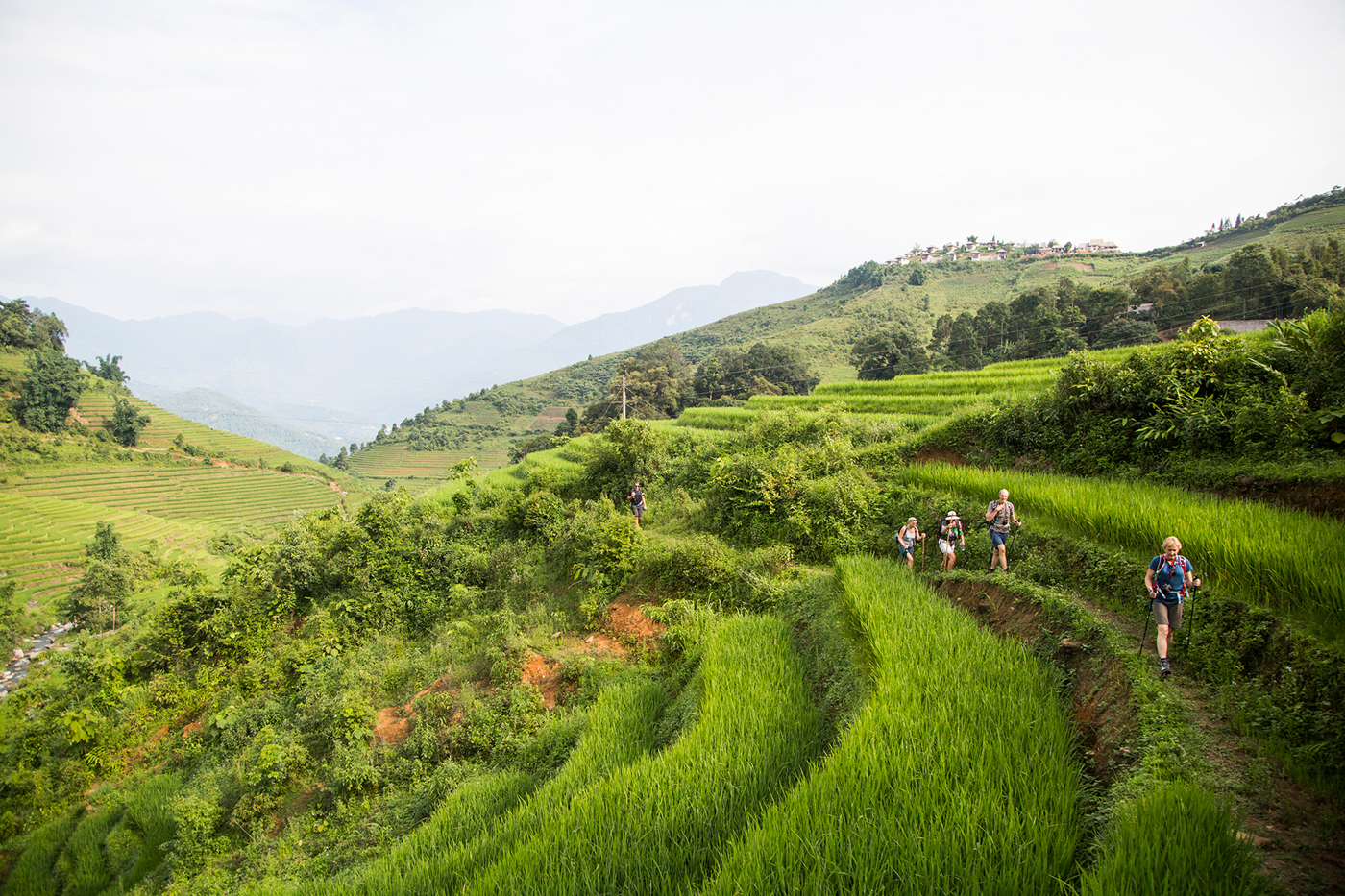 Rundrejser Vietnam | Fra nord