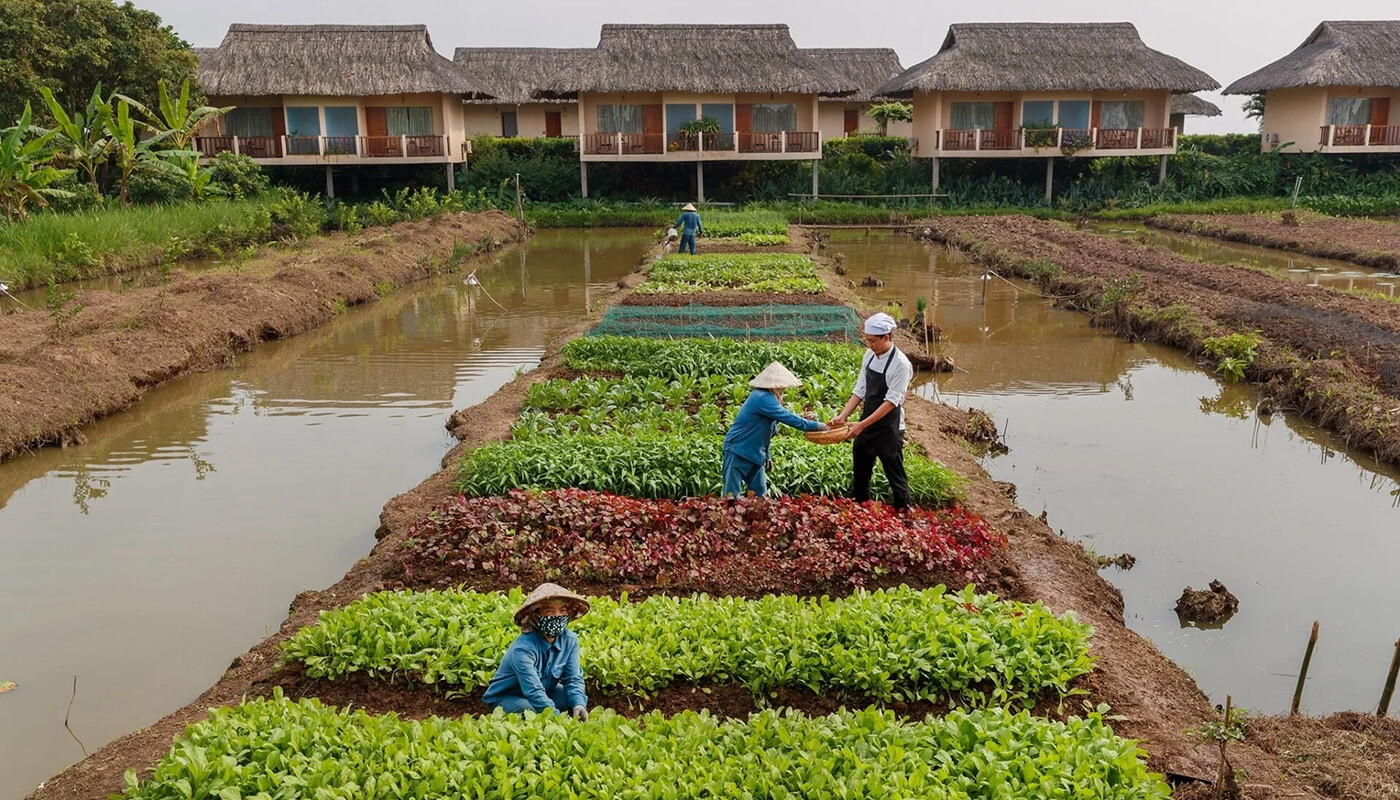 Landbrug ved Mekong