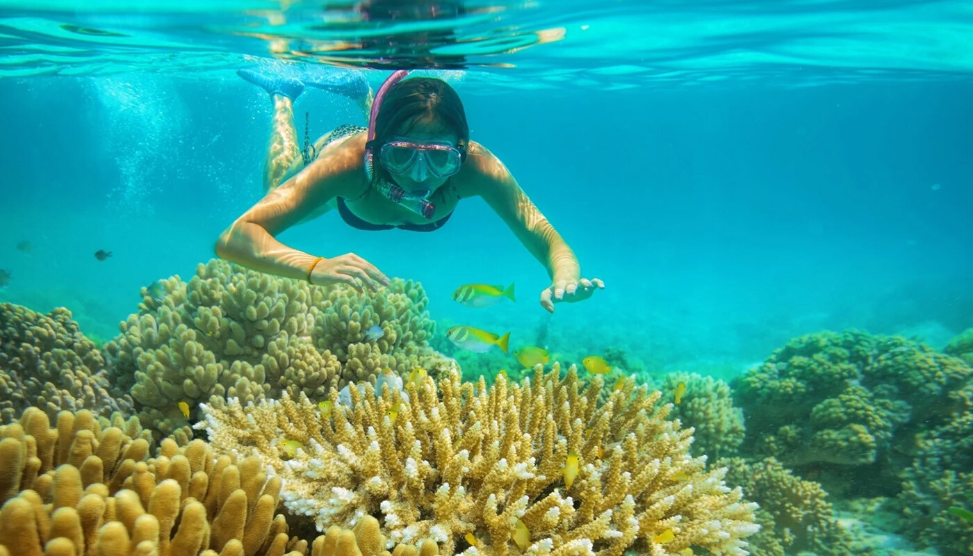 Snorkling i havet ved Phu Quoc