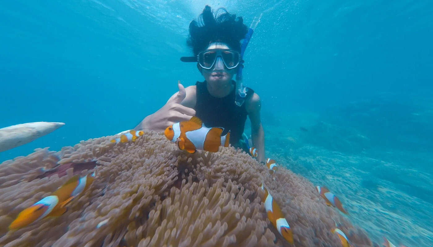 Snorkling blandt klovnfisk og koraler 