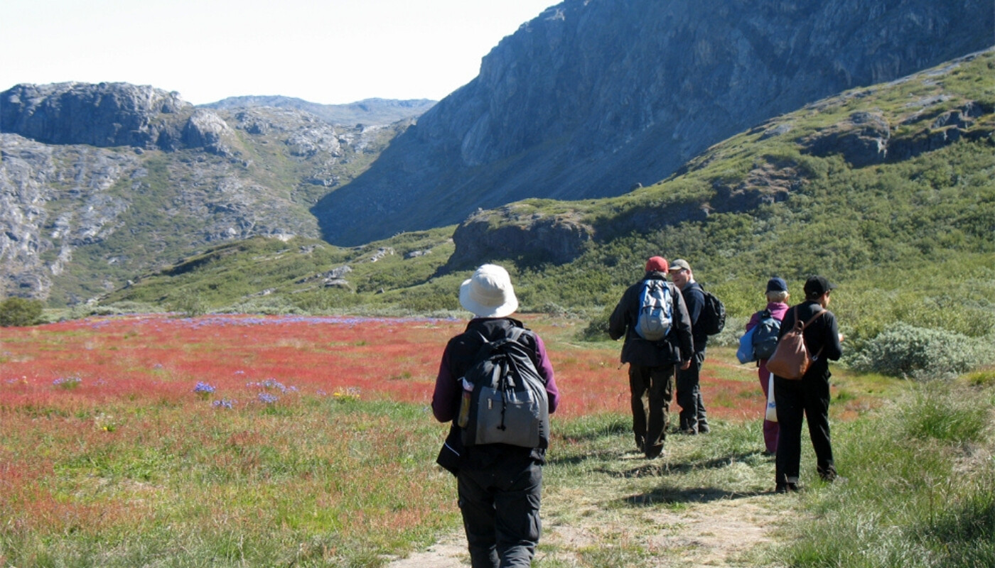 Narsarsuaq glacier