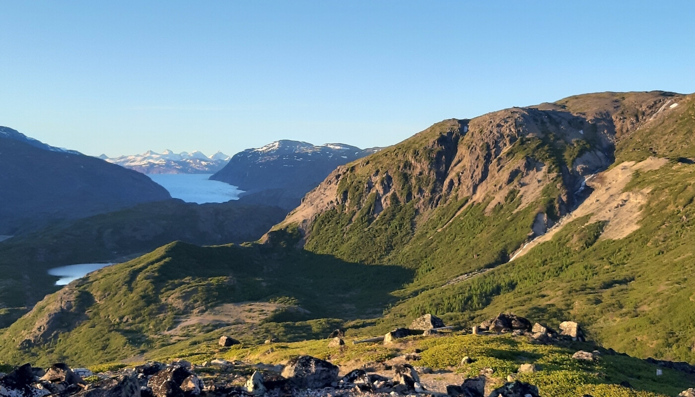 Signalhøjen