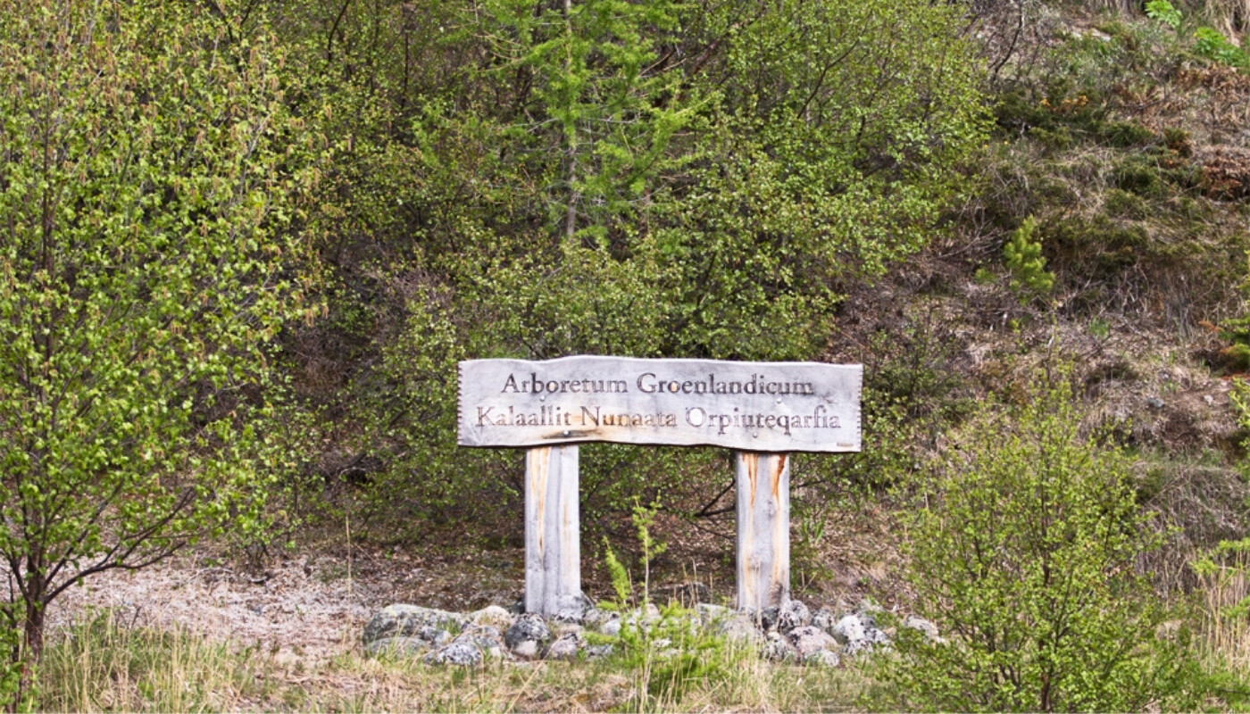 Narsarsuaq