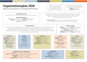 Organisationsplan_2026_(1)