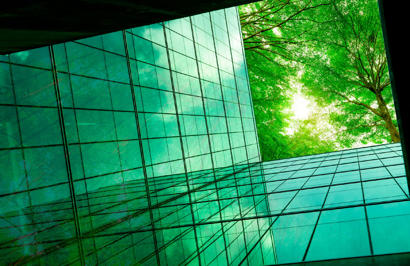 Introduktion til ESG og ESG-rapportering