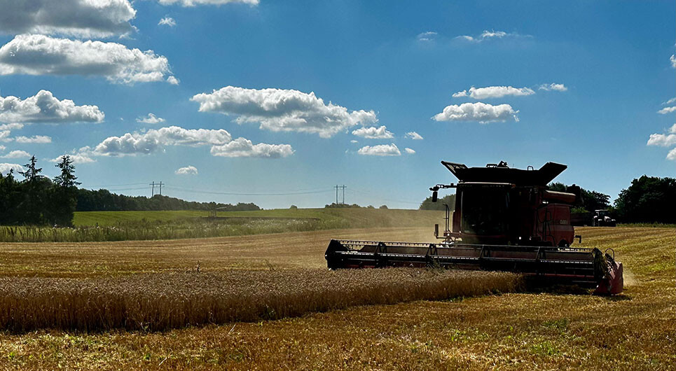 kvalitetssikring-af-elevers-praktik-i-landbruget