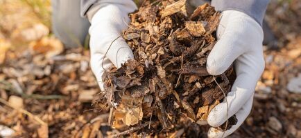 Etablering-af-biodiverse-anlaeg