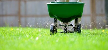 Plaenegraes_vaekstforhold_og_godning