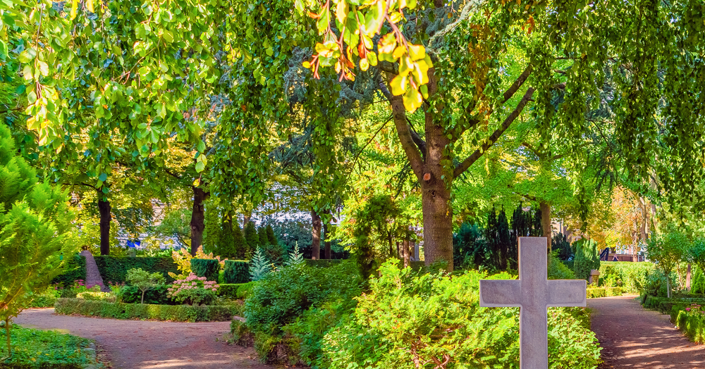 kirkegaarde-natur-paa-kirkegaarden