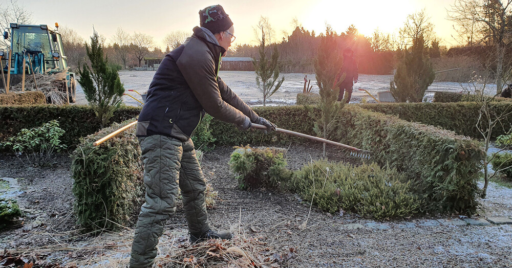 kirkegaardsanlaeg-etablering-og-pleje-47882-amusyd-ribe(1)