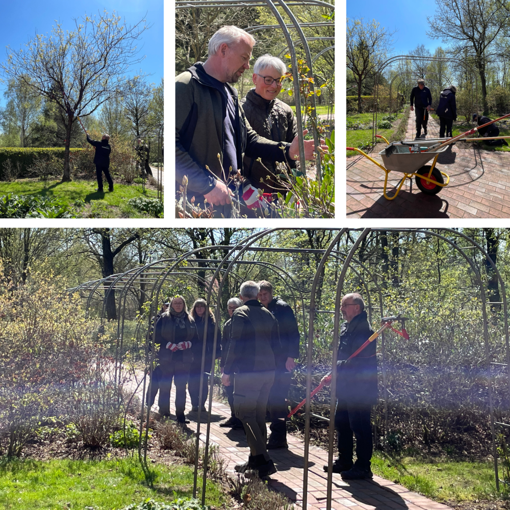 traer-og-buske-om-sommeren