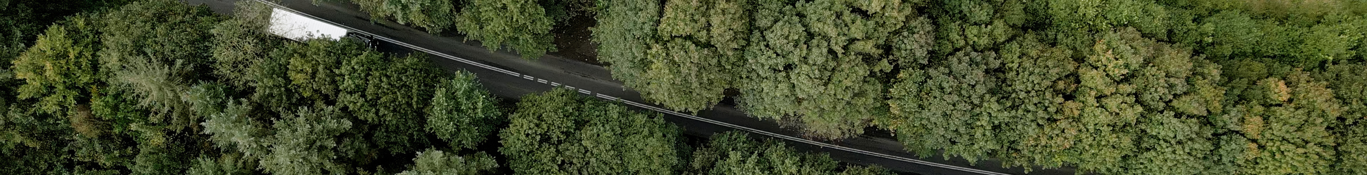 Gode historier og nyheder