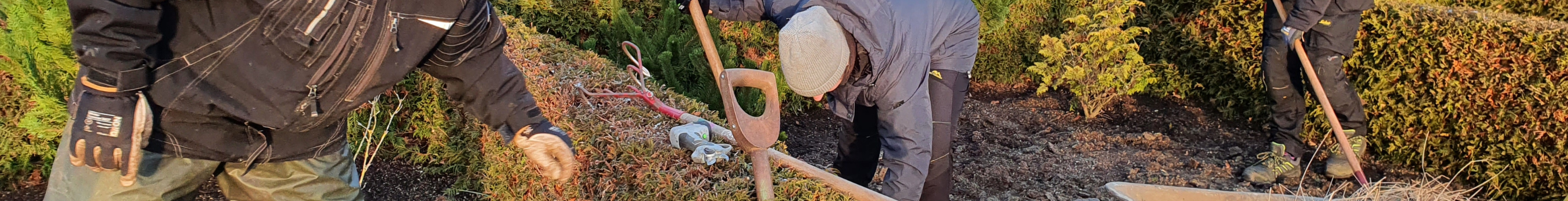 Lær at planlægge, etablere og pleje kirkegårdsanlæg