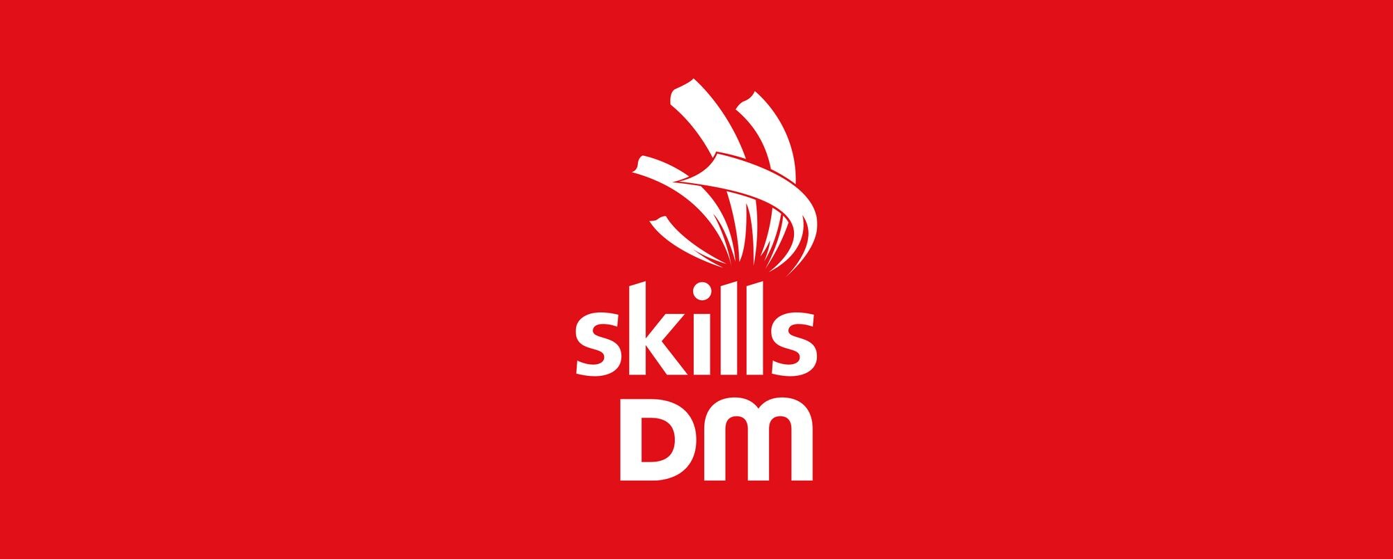 DM i Skills 2024