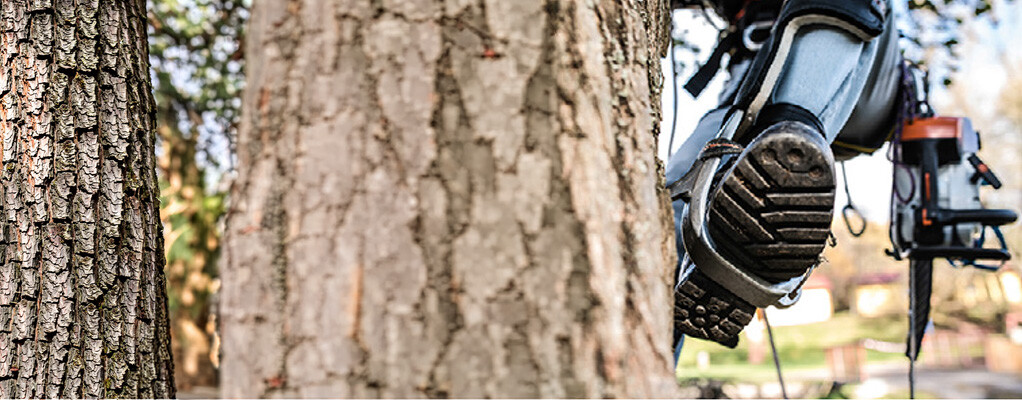 Skov- og naturtekniker