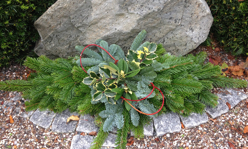 Udvidet_Grandaekning