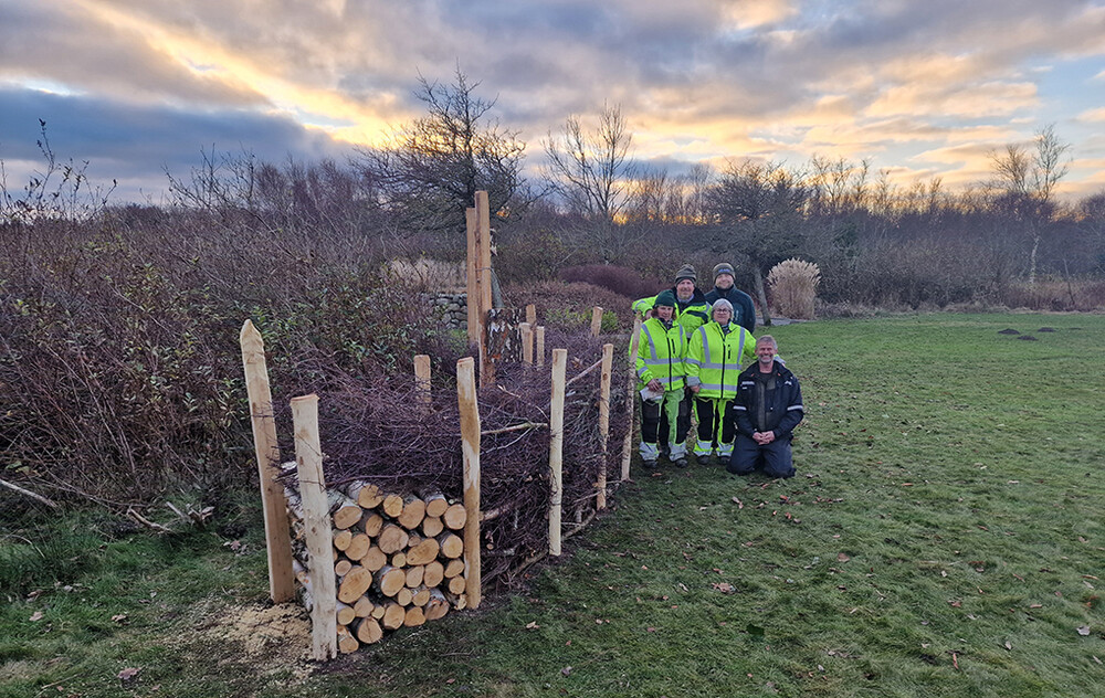 etablering_af_biodiverse_anlaeg_jan26