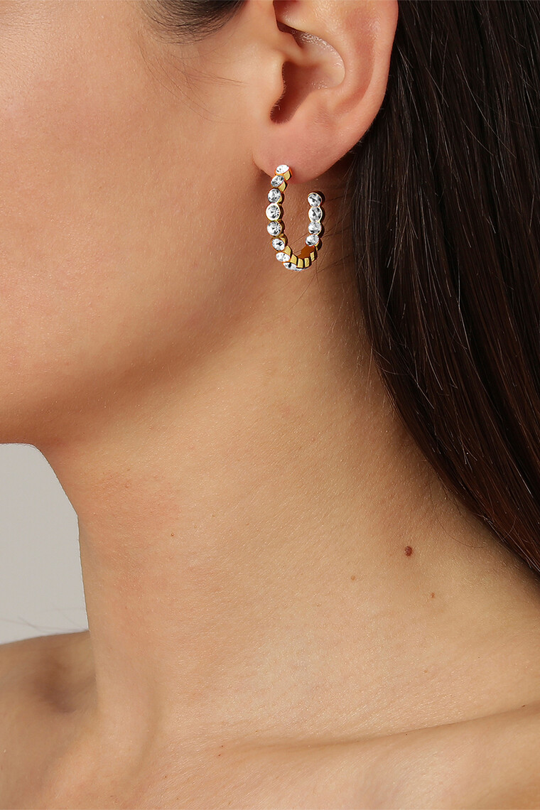 Dyrberg/Kern Blaze Earrings Multi-Coloured Crystal main image 0