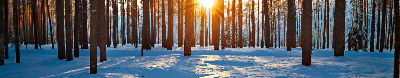 Fremtiden tilhører de kompetente