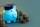 Bankoplysninger