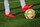 ball-5596983_1280