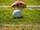 soccer-4542598_1280