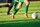 womens-football-7541990_1280