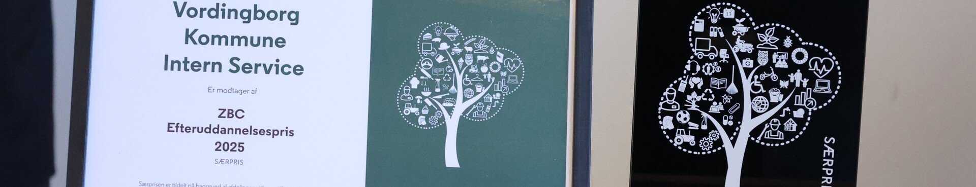 Intern Service i Vordingborg Kommune modtager ZBC’s Efteruddannelsespris – Særpris 2025
