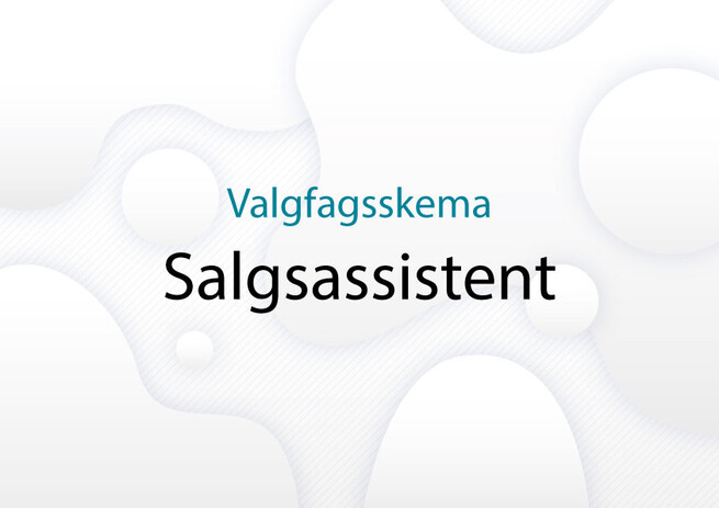 Valgfagsskema-Salgsassistent