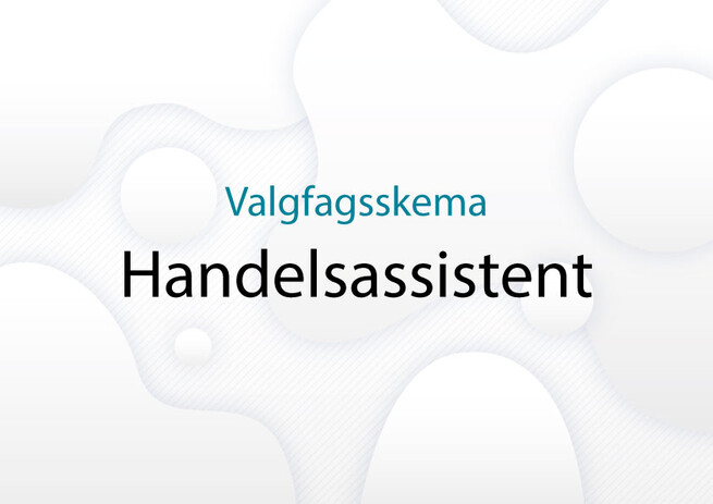 Valgfagsskema-handelsassistent