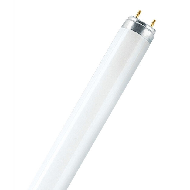 Rentmeester steeg noodzaak Bulb 36W/830 T8 Fluorescent Lamp - Philips - Buy online