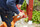 COLOURBOX33628960_1__(1)