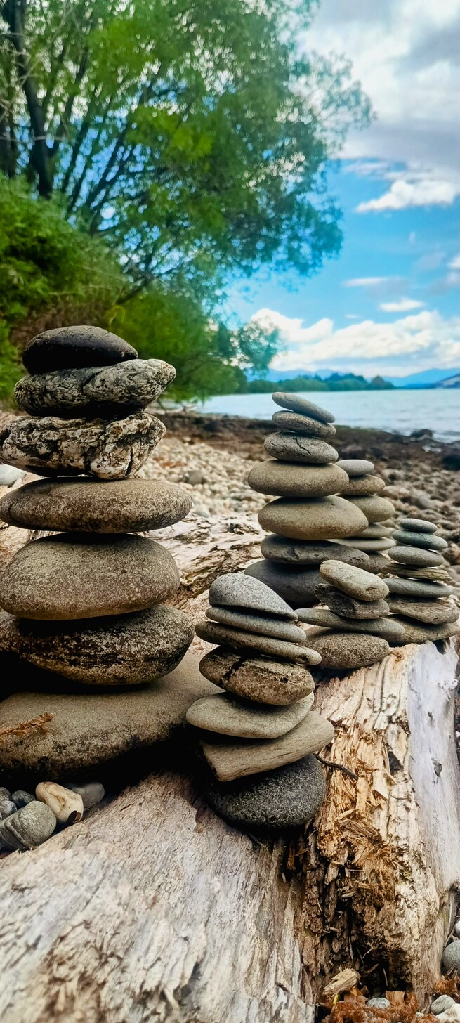 Peter_naturfoto_New_Zeeland_(1)