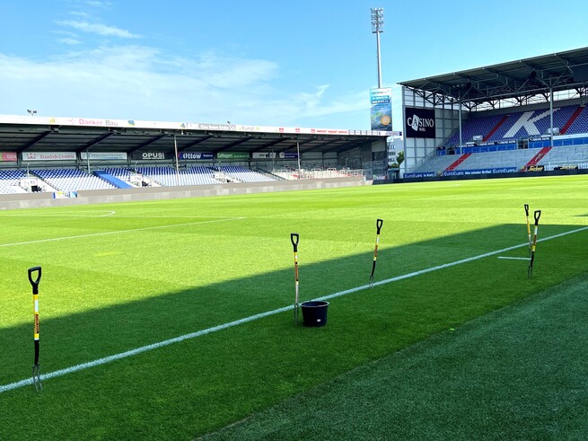 groundsmand2BRED
