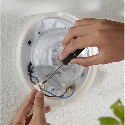 Daylo outdoor wall light new arrivals