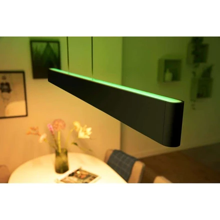 Ensis Hue Pendant White Color Amb. Black Philips Hue Buy online