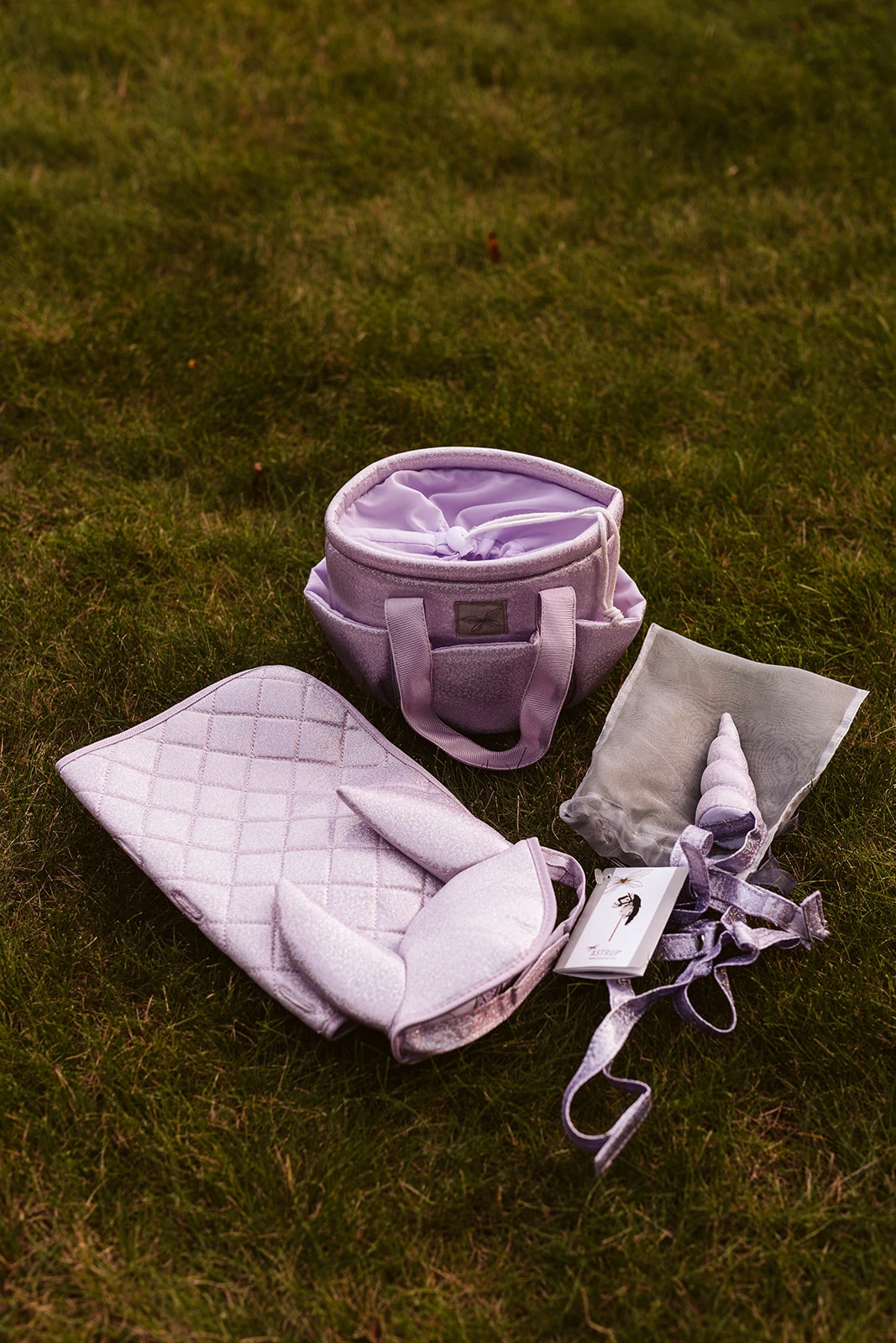GROOMING BAG PURPLE