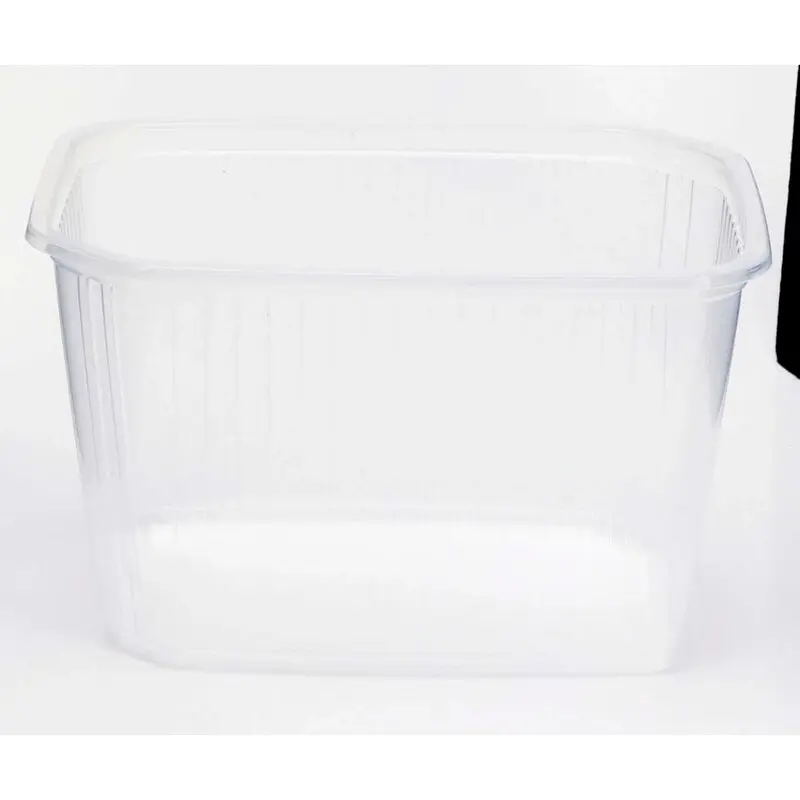 Rechteckschale Klar – 750 Ml (PP), 50 Stück – Vielseitig Für Lebensmittel & Aufbewahrung