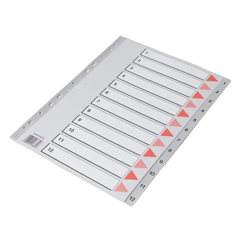 Indice Riscrivibile Leitz 1-12 Formato A4 - Divisori In Polipropilene Grigio - Foto 11