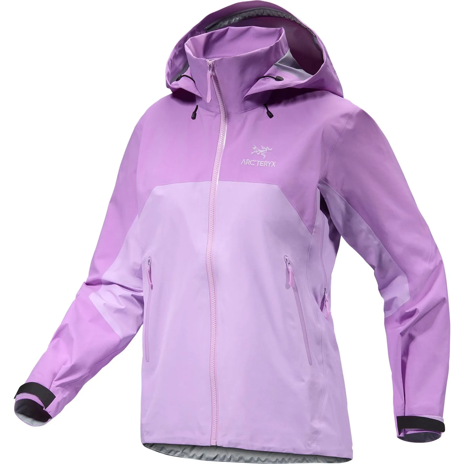Arcteryx Womens Beta AR Jacket