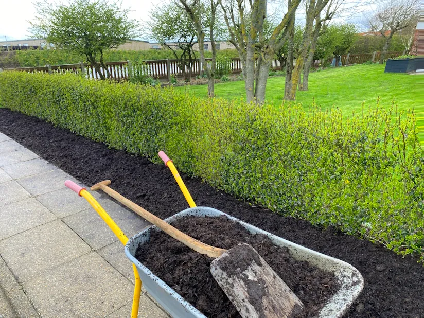 Køb økologisk hækmuld | PRISGARANTI | Naturgødet