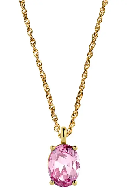 Collier DYRBERG/KERN - Bavaty, Acier Inoxydable & Cristal, Longueur 40 Cm + Extension - Neuf Avec Étiquettes