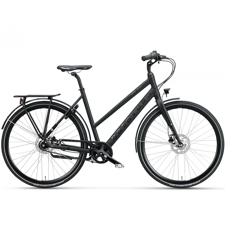 Hybrid Rental Bike